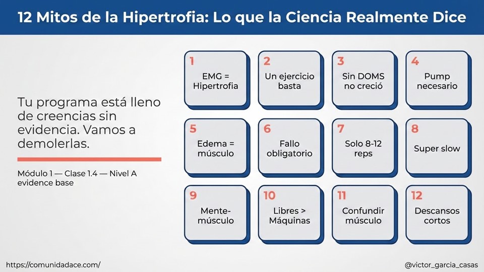 Doce mitos de la hipertrofia